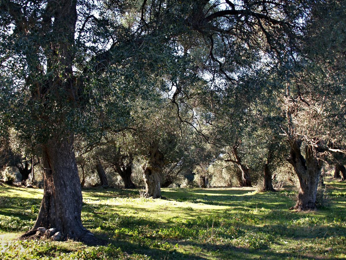 Muro  Casa Theodora - Hotel De Charme Et Caractere מראה חיצוני תמונה